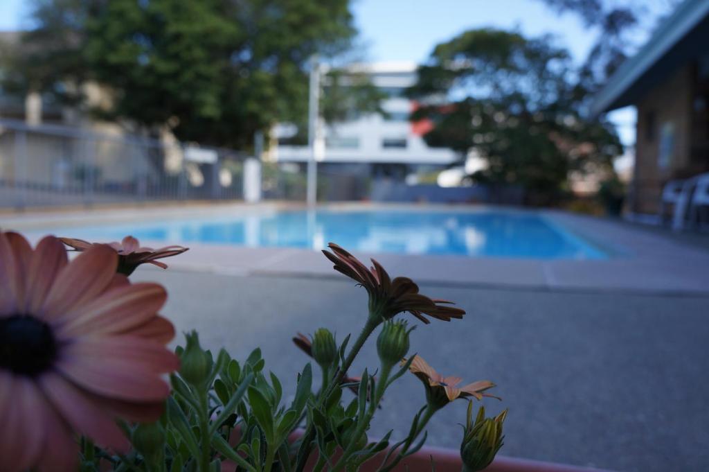 Panorama Motor Inn Ньюкасл Экстерьер фото
